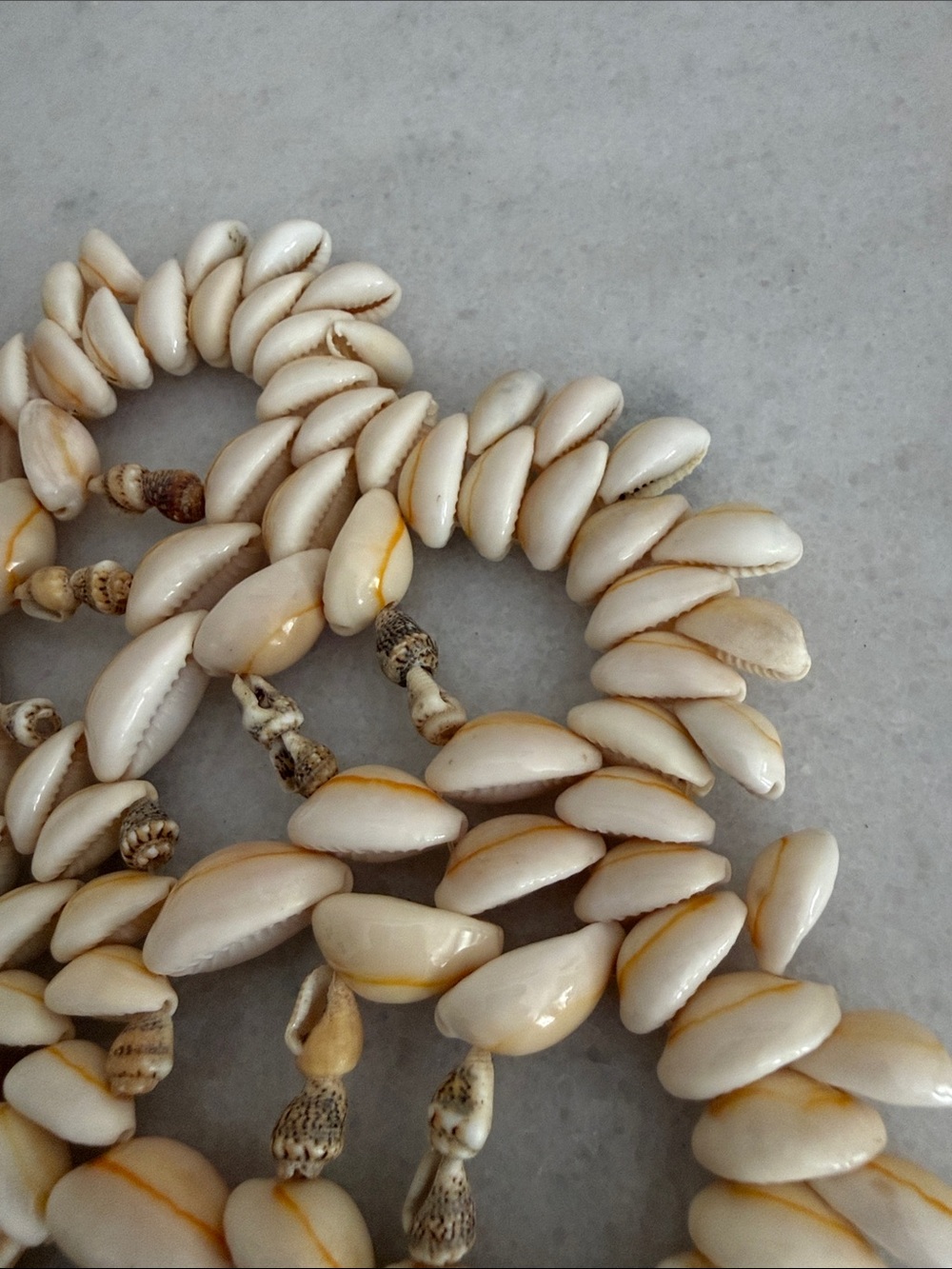 Cowrie Shell trivet / doily - Picture 3 of 7